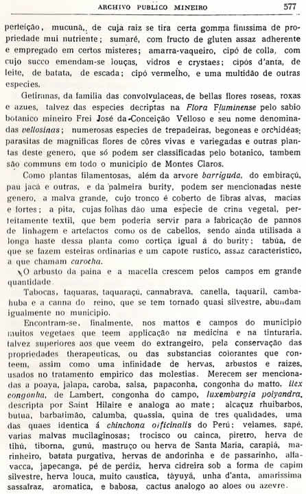 Chorografia Mineira - D�cima s�tima parte